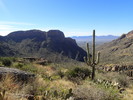 photo thumbnail #9