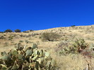 photo thumbnail #10