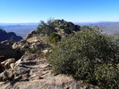 photo thumbnail #13