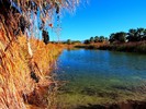 photo thumbnail #12