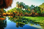 photo thumbnail #14