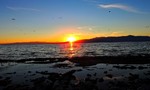 photo thumbnail #8