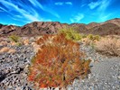 photo thumbnail #7