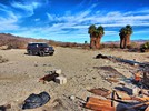 photo thumbnail #9