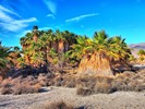 photo thumbnail #11