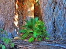 photo thumbnail #13