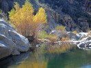 photo thumbnail #6