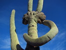 photo thumbnail #2