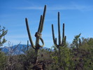 photo thumbnail #3