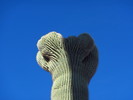 photo thumbnail #7