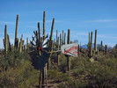 photo thumbnail #8