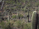 photo thumbnail #9