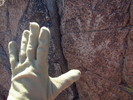 photo thumbnail #14
