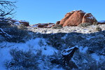 photo thumbnail #3