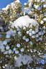 photo thumbnail #7