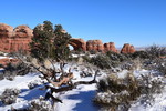 photo thumbnail #4