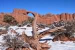photo thumbnail #6