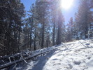 photo thumbnail #6