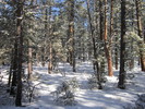 photo thumbnail #8