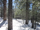 photo thumbnail #10