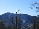 photo thumbnail #8
