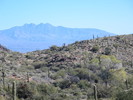 photo thumbnail #1