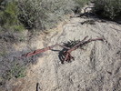 photo thumbnail #3