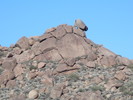 photo thumbnail #4