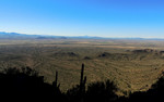 photo thumbnail #4