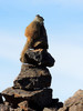 photo thumbnail #13