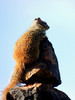 photo thumbnail #14