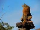 photo thumbnail #15