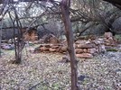 photo thumbnail #4