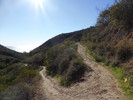 photo thumbnail #2