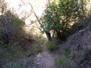 photo thumbnail #10