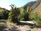 photo thumbnail #11