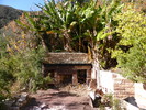 photo thumbnail #15