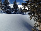 photo thumbnail #11