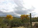 photo thumbnail #8