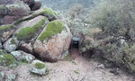photo thumbnail #1