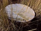 photo thumbnail #13