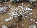 photo thumbnail #3
