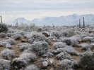 photo thumbnail #4