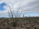 photo thumbnail #10