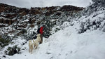 photo thumbnail #12