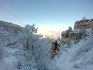 photo thumbnail #5