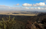 photo thumbnail #4