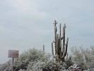 photo thumbnail #12