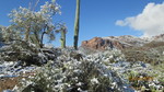 photo thumbnail #12