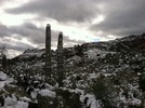 photo thumbnail #8